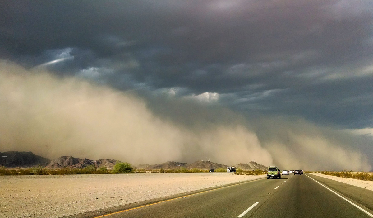 Dust mass